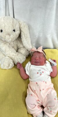 A photo of a newborn baby