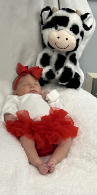 A photo of a newborn baby