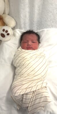 A photograph of a newborn baby