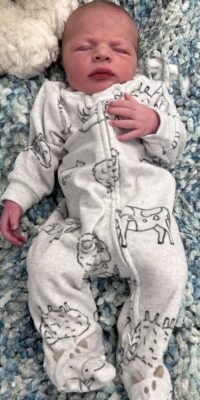 A photograph of a newborn baby
