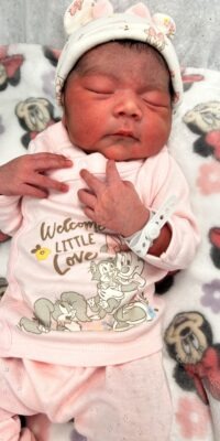 A photograph of a newborn baby
