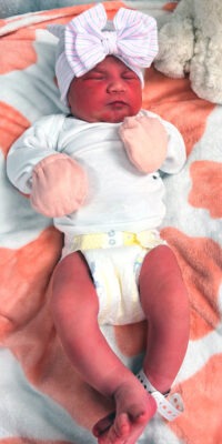 A photo of a newborn baby